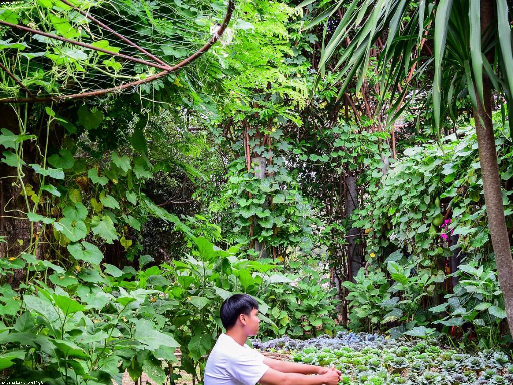 កម្មវិធីពិសេសពេញនិយម