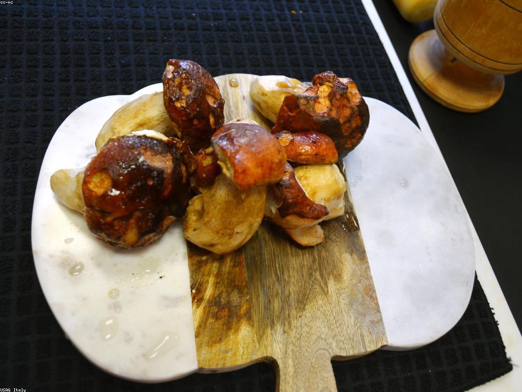 កម្មវិធីពិសេស៖ ការបង្កើតនិងការពង្រឹងការងារ