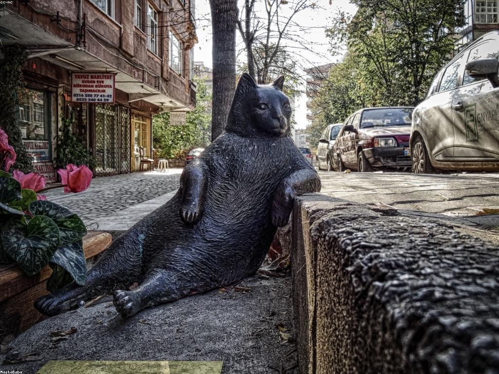 ការពិពណ៌នា VIP: ចំនេះដឹងនិងអត្ថប្រយោជន៍