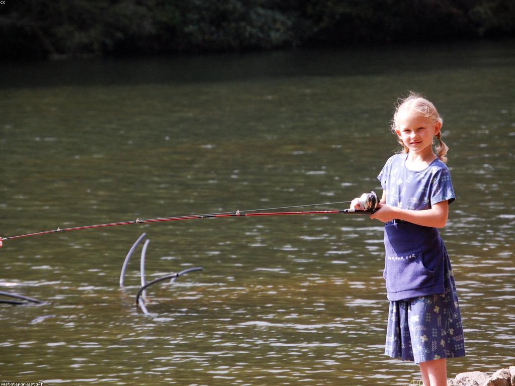 កម្មវិធីពិសេស៖ អ្វីដែលអ្នកត្រូវដឹង